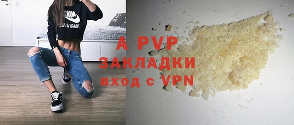 прущие грибы Богородск