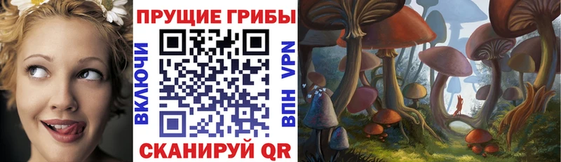 omg зеркало  сколько стоит  Жирновск  Галлюциногенные грибы ЛСД 