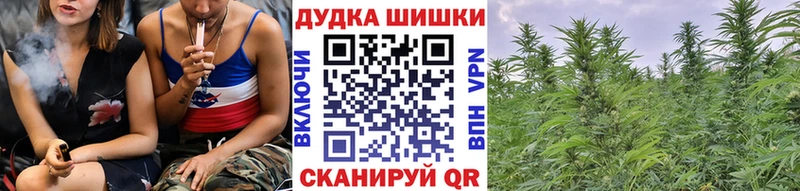 Бошки Шишки семена  купить закладку  Жирновск 